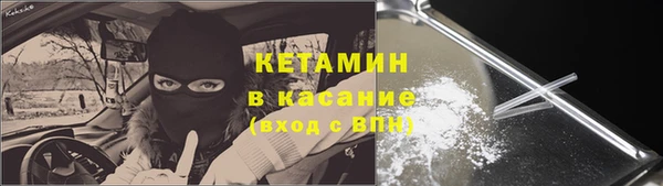 гидра Михайловск