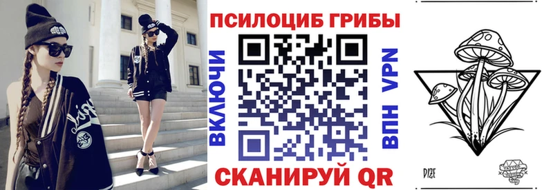 ОМГ ОМГ как зайти  Нахабино  Псилоцибиновые грибы Psilocybe 